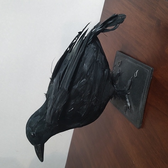 Black Raven Crow Sculpture Real Feathers Bird Halloween Decor Movie Set Prop - Picture 6 of 14